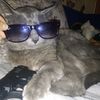 antochka_derzkii_