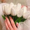 ادلبية💞