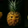 o_swides1