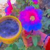 fatna.basak