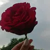 j34gh6