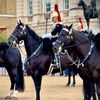 Horses Guard Ro