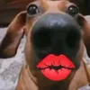 mooooa_45