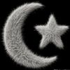 user650072002