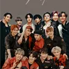 straykidsbtsfan1