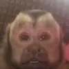 loroformoseo