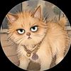 nabil.mahmud523