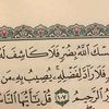 mehammahe0