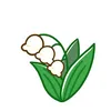 checowa5