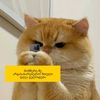 tatia.abashidze02