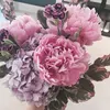 do_hson8