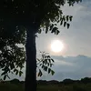 kim_aiden6