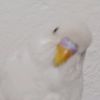 fatma_38.7