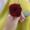 user085656898