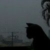 mohammde722