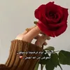 user38004852066120