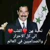 user5228141098232