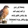 asdfasd3862