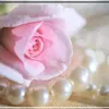 samia.samia281623