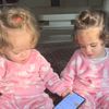 haneenahmed9289