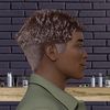 barberchoper0