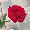 user046826172