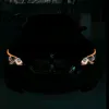 cars__are_everything