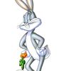 chapuln7763
