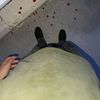 iska_382