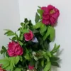 6_jj20