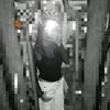 sofi_28012012