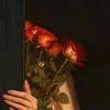um.fatma123iiaa2