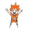 hinata.shoyo6568