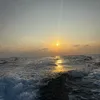 wanttogoviral124