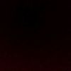 user041864602l