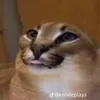 doggo1905