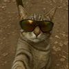 zoeirasemfiltro0