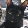 emmanem_73