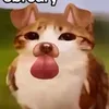 ikrg05