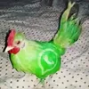 6ninguemkk9