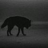 iliya.m_1