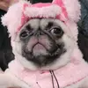 bellythesmelly_8018