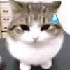 ferrizwheell