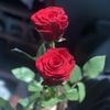 user1881462461161