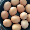 mmrenda6