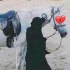 bol.ali3