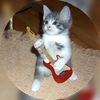 joel.max7