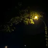 akusyafa05
