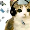 xd_meowl_es_vida
