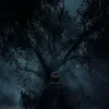 a_313ty